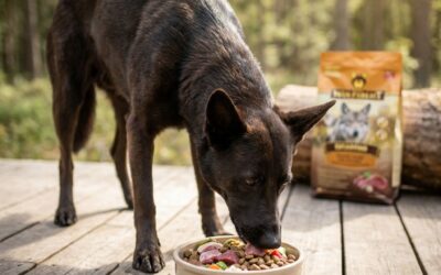 Wolfsblut hundefoder: Et sundere valg for din hund